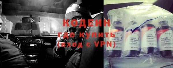 трава Инта
