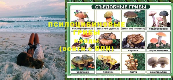 трава Инта