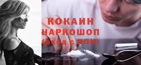 трава Инта