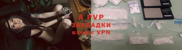 трава Инта