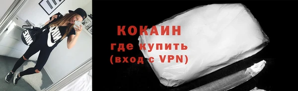 трава Инта