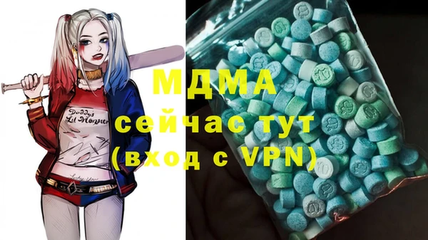 трава Инта