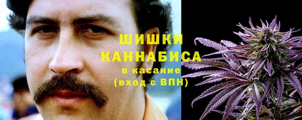 трава Инта