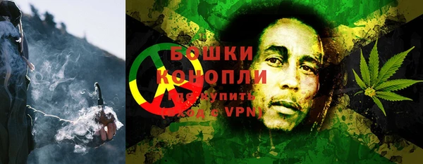 трава Инта