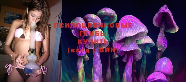 трава Инта