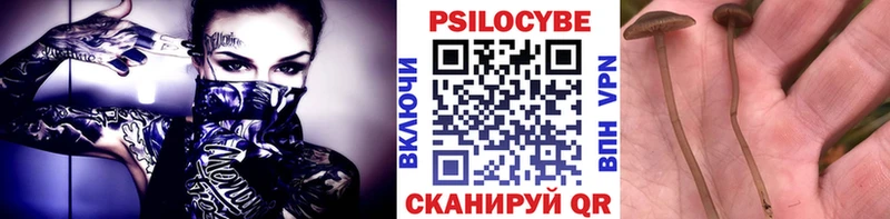Галлюциногенные грибы Psilocybe  Купить закладки  Фролово 